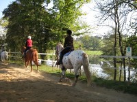 séjour initiation équitation pour adulte