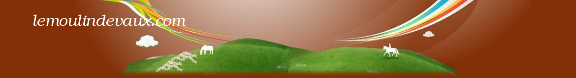 lemoulindevaux.com